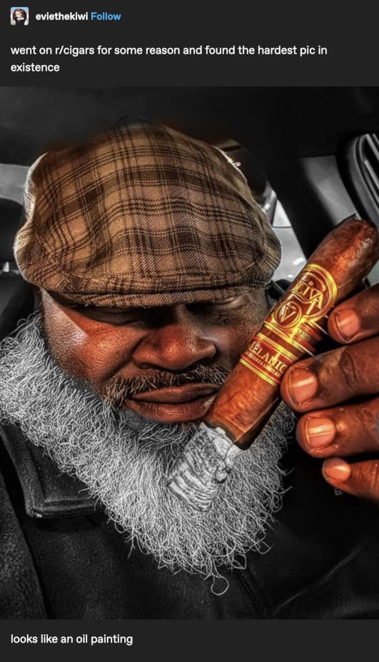 There’s no reason for this image to be here. I just really like it. Courtesy of u/Physical_Usual581, original comes from here